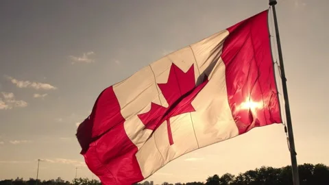 Canadian flag with maple leaf on the pole slow motion movement. Flag of Can.. 動画素材 229595166