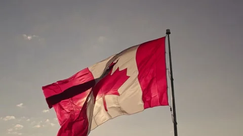 Canadian flag with maple leaf on the pole slow motion movement. Flag of Can.. Stock Footage 229595190