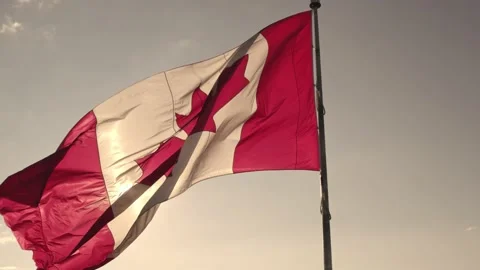 Canadian flag with maple leaf on the pole slow motion movement. Flag of Can.. Stock Footage 229595212