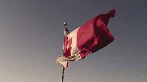 Canadian flag with maple leaf on the pole slow motion movement. Flag of Can.. Stock Footage 229595213