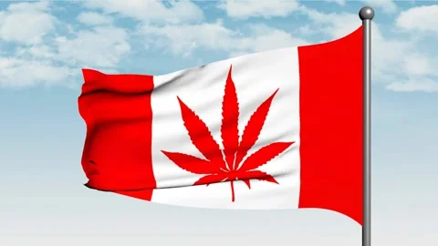 Canadian flag with marijuana leaf instead Maple Leaf, 3d animation Stock Footage 131511310