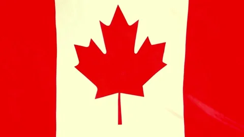 Canadian Flag in Motion – Dynamic 4K Video for Business and Creativity 動画素材 295669724