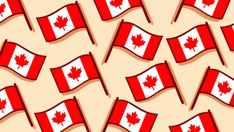Canadian Flag Pattern Background with Waving Maple Leaf Flags for Canada Day 動画素材 336169494