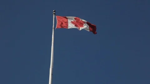 Canadian Flag on Pole Stock Footage 94641346