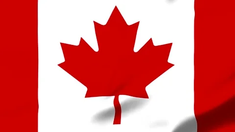 Canadian flag with red maple leaf on white background Stock Footage 343573761