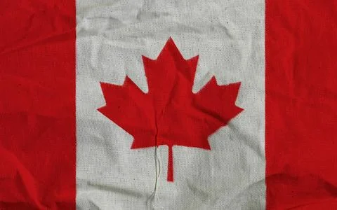 Canadian Flag with Red Maple Leaf and White Background Stock Photos