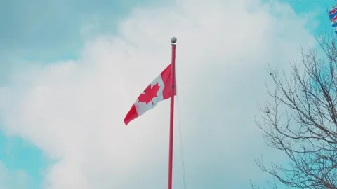 Canadian flag on red pole with bare winter trees 库存影片 330758368