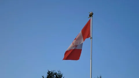 Canadian flag slowing flapping in wind against a clear blue sky Stock Footage 129659004