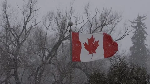 Canadian Flag in the Snow 스톡 동영상 267871475