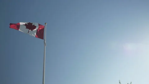 Canadian Flag in The Sun Video stock 157461935