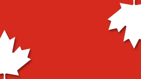 Canadian Flag Theme Red Background with White Maple Leaf Paper Cutout Graphic Stock Footage 344786889