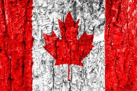 Canadian flag tree bark texture Stock-Illustration