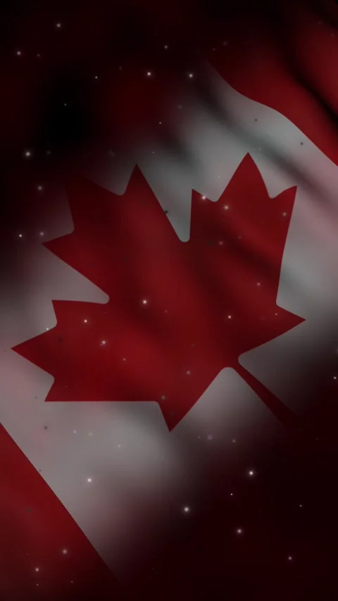 Canadian Flag Vertical Video Background with Waving Canada Flag and Particles. Stock Footage 334239842