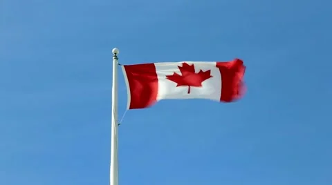 Canadian flag waiving Stock Footage 52423208