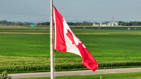 Canadian flag waving with corn fields, f... | Stock Video | Pond5