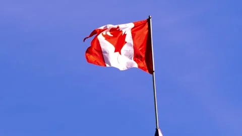 Canadian flag waving dynamically on a very windy day Stock Footage 324116412