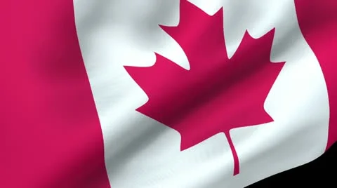 Canadian Flag Waving Video stock 12204261