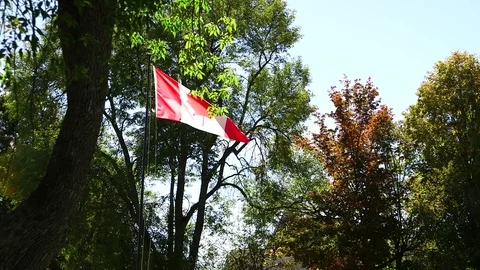 Canadian Flag Waving Stock Footage 83990752