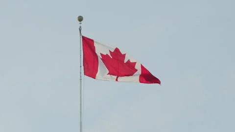 Canadian flag waving Stock Footage 297920068