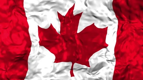 Canadian flag waving in the wind Stock Footage 89894145