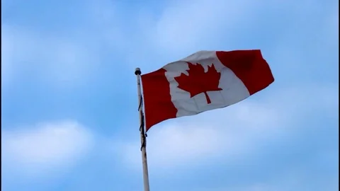 Canadian Flag waving in the Wind Stock Footage 100608157