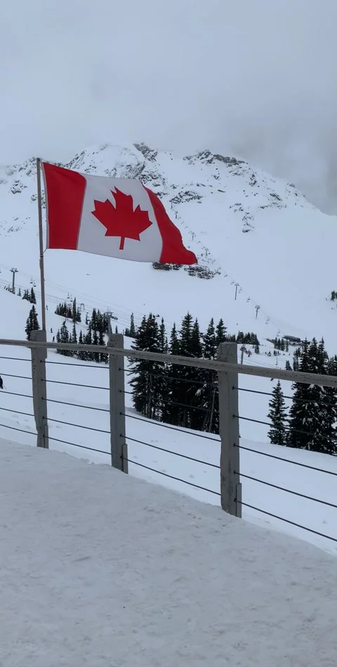 Canadian Flag Waving in the Wind 스톡 동영상 140369905
