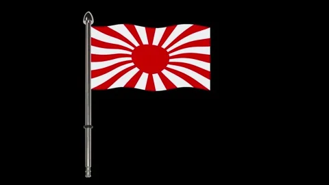 Canadian flag waving in the wind. Stock Footage 340324295