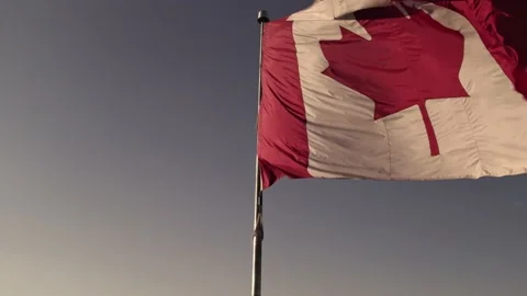 Canadian flag at wind, blue cloudy sky and golden hour sun. Happy Canadian .. 動画素材 229595255