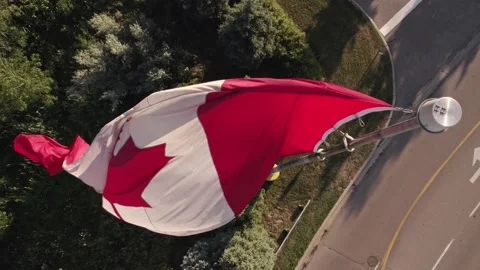 Canadian flag at wind, blue cloudy sky and golden hour sun. Happy Canadian .. Stock Footage 229595257