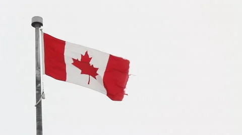 Canadian flag in the wind. Stock Footage 69066063