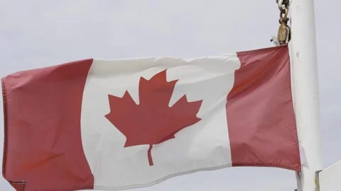 Canadian Flag In The Wind Stock Footage 266971516