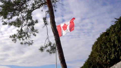 Canadian Flag on a windy Stock Footage 144903336