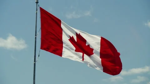 Canadian Flag in the Windy Sunlight Stock Footage 280239361