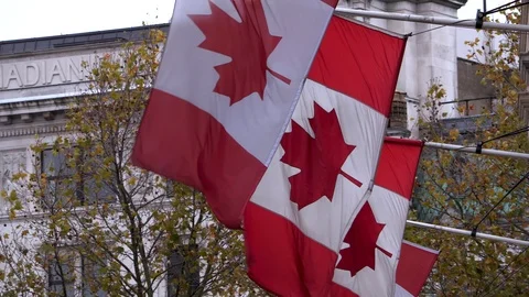 Canadian Flags blowing in the wind 스톡 동영상 120302195
