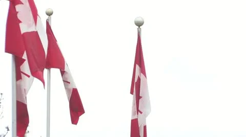 Canadian Flags Stock Footage 11494624