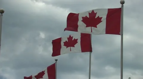 Canadian Flags Stockbeeldmateriaal 11494759