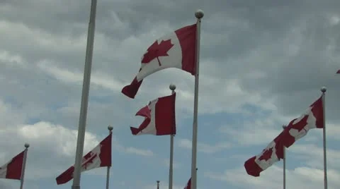 Canadian Flags Stock Footage 11494871
