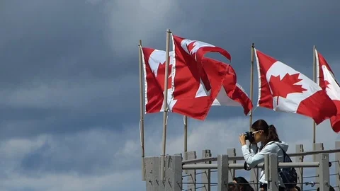 Canadian Flags Stock Footage 90053031