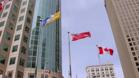Canadian flags Stock Footage