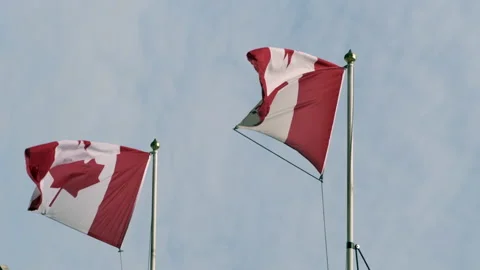 Canadian flags. Stock Footage 132004512