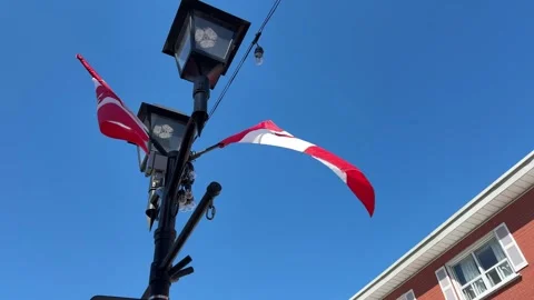 Canadian flags wave on lamppost Stock Footage 307805119