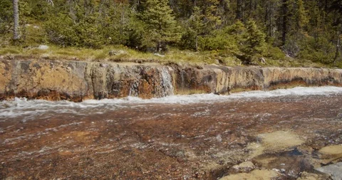 Canadian forest stream Stock Footage 121538218