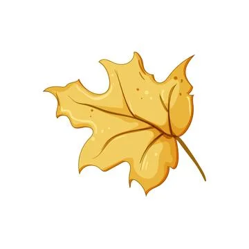 Canadian maple leaf cartoon vector illustration Stock Illustration