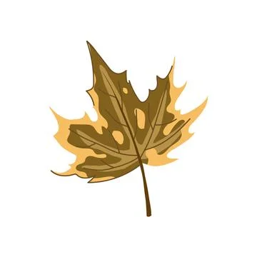 Canadian maple leaf cartoon vector illustration Stock Illustration