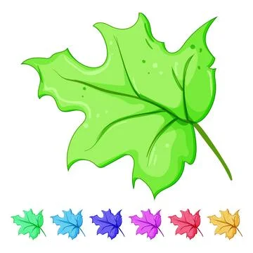 Canadian maple leaf cartoon vector graphic Illustrazione stock