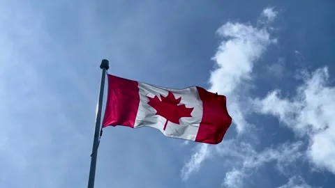 Canadian maple leaf flag billowing in the wind under blue sky Stock Footage 337154992