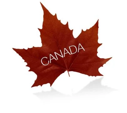Canadian maple leaf Stock Illustration