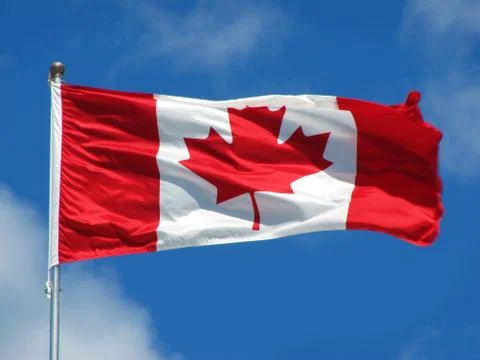 Canadian Maple Leaf Stock Photos