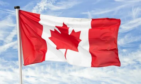 Canadian maple leaf Stock Photos