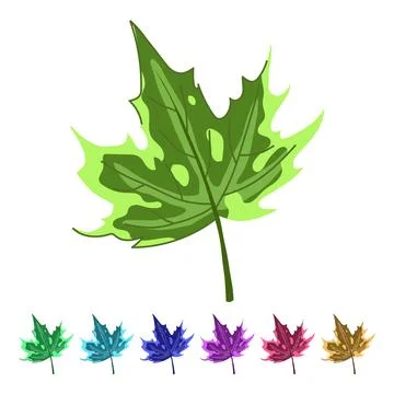 Canadian maple leaf vector cartoon graphic Stock Illustration
